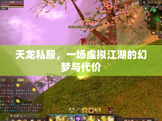 天龙私服，一场虚拟江湖的幻梦与代价