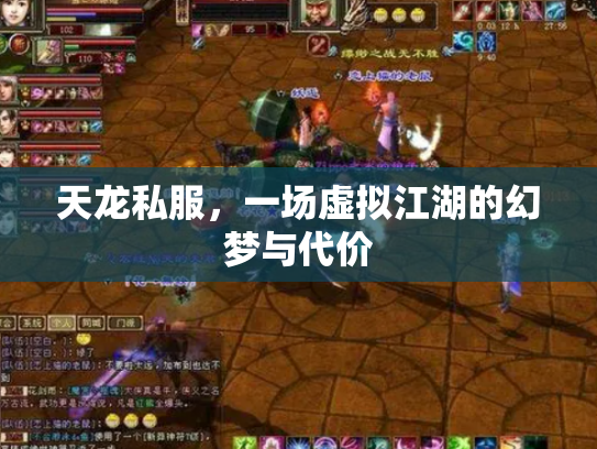 天龙私服，一场虚拟江湖的幻梦与代价
