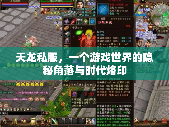天龙私服，一个游戏世界的隐秘角落与时代烙印