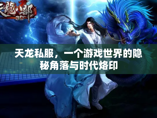 天龙私服，一个游戏世界的隐秘角落与时代烙印