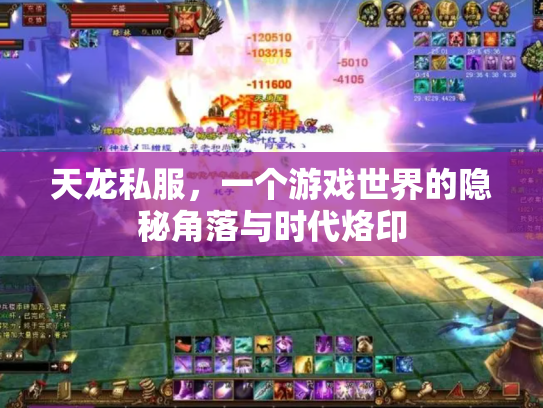 天龙私服，一个游戏世界的隐秘角落与时代烙印