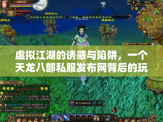 虚拟江湖的诱惑与陷阱，一个天龙八部私服发布网背后的玩家悲欢