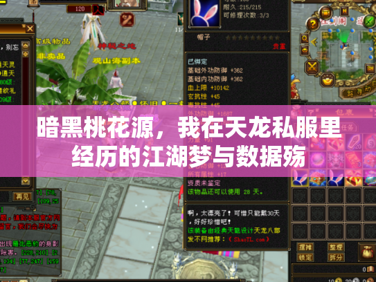 暗黑桃花源，我在天龙私服里经历的江湖梦与数据殇