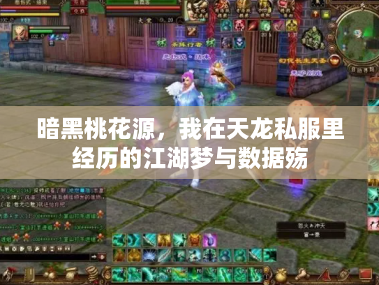 暗黑桃花源，我在天龙私服里经历的江湖梦与数据殇