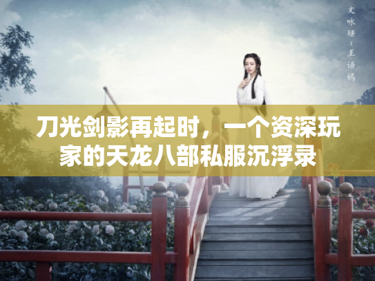 刀光剑影再起时，一个资深玩家的天龙八部私服沉浮录