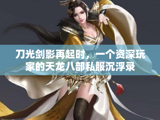 刀光剑影再起时，一个资深玩家的天龙八部私服沉浮录