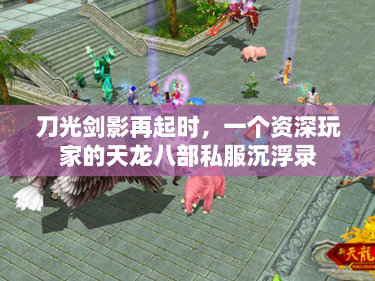 刀光剑影再起时，一个资深玩家的天龙八部私服沉浮录