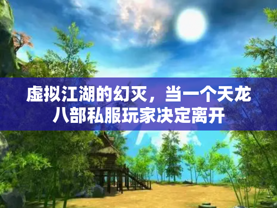 虚拟江湖的幻灭，当一个天龙八部私服玩家决定离开