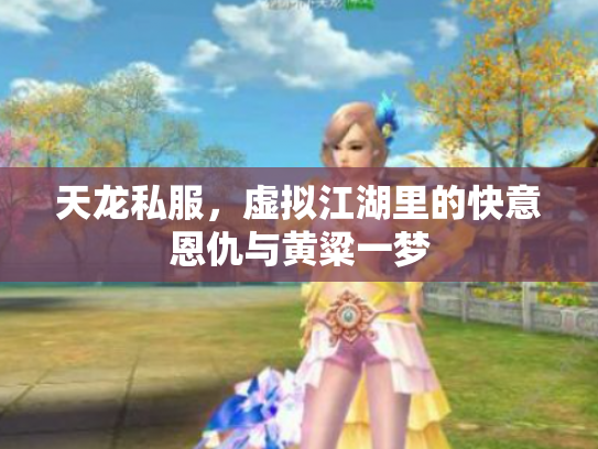 天龙私服，虚拟江湖里的快意恩仇与黄粱一梦