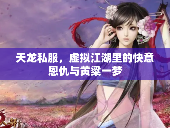天龙私服，虚拟江湖里的快意恩仇与黄粱一梦