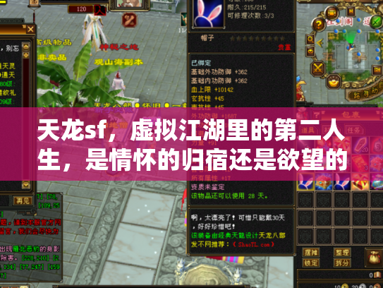 天龙sf，虚拟江湖里的第二人生，是情怀的归宿还是欲望的陷阱？
