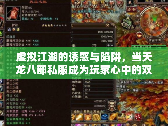 虚拟江湖的诱惑与陷阱，当天龙八部私服成为玩家心中的双刃剑
