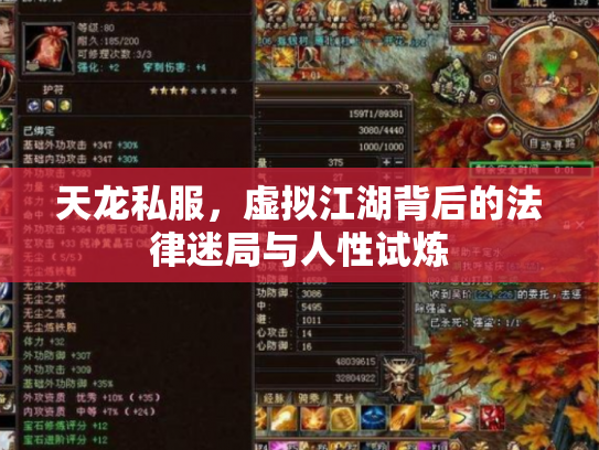 天龙私服，虚拟江湖背后的法律迷局与人性试炼
