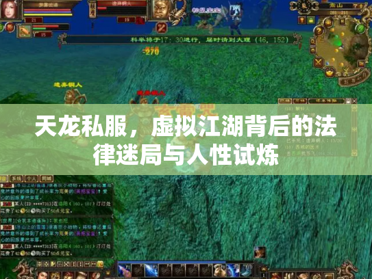 天龙私服，虚拟江湖背后的法律迷局与人性试炼