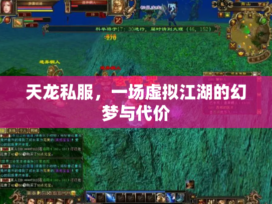 天龙私服，一场虚拟江湖的幻梦与代价