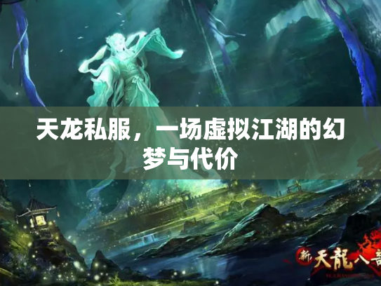 天龙私服，一场虚拟江湖的幻梦与代价