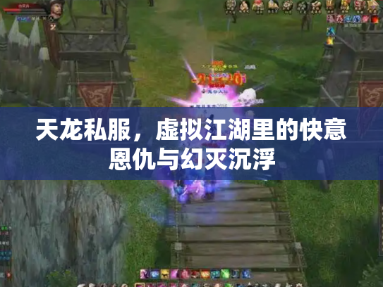 天龙私服，虚拟江湖里的快意恩仇与幻灭沉浮