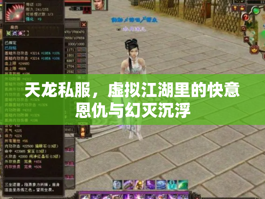 天龙私服，虚拟江湖里的快意恩仇与幻灭沉浮