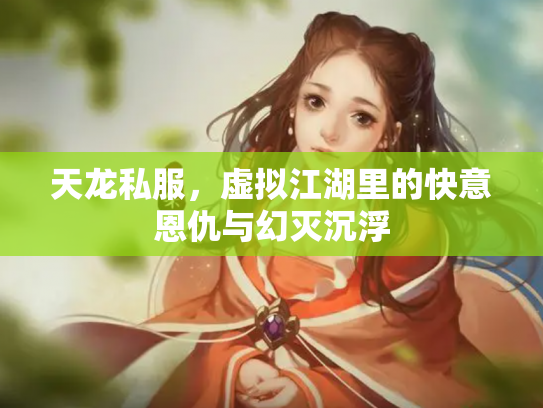 天龙私服，虚拟江湖里的快意恩仇与幻灭沉浮