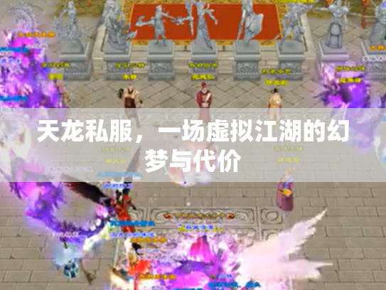 天龙私服，一场虚拟江湖的幻梦与代价