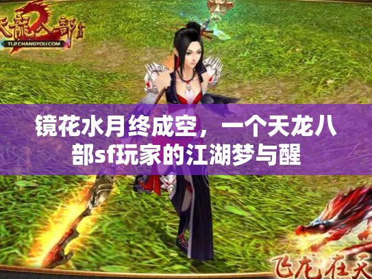 镜花水月终成空，一个天龙八部sf玩家的江湖梦与醒