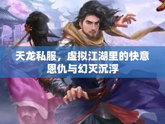 天龙私服，虚拟江湖里的快意恩仇与幻灭沉浮