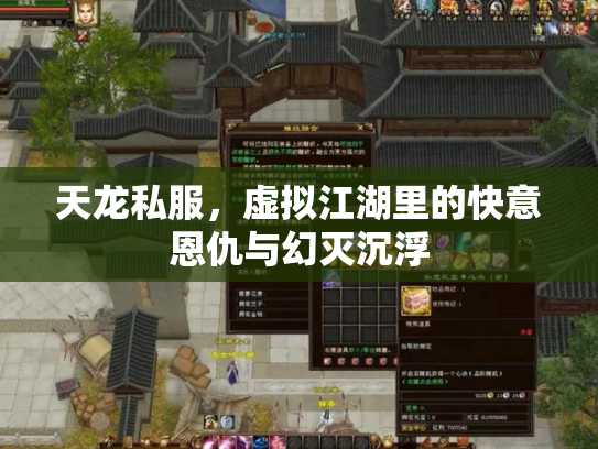 天龙私服，虚拟江湖里的快意恩仇与幻灭沉浮