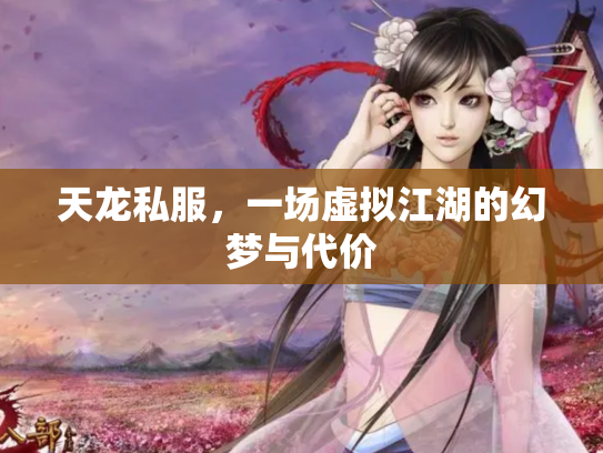 天龙私服，一场虚拟江湖的幻梦与代价