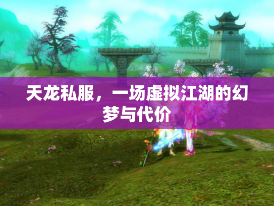 天龙私服，一场虚拟江湖的幻梦与代价