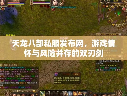 天龙八部私服发布网，游戏情怀与风险并存的双刃剑
