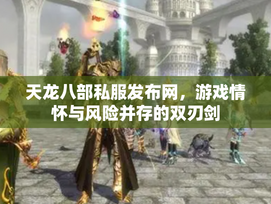 天龙八部私服发布网，游戏情怀与风险并存的双刃剑