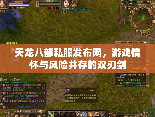 天龙八部私服发布网，游戏情怀与风险并存的双刃剑