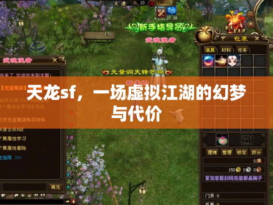 天龙sf，一场虚拟江湖的幻梦与代价