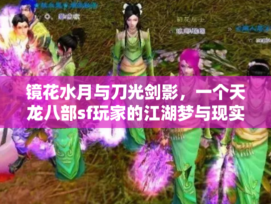 镜花水月与刀光剑影，一个天龙八部sf玩家的江湖梦与现实沉思