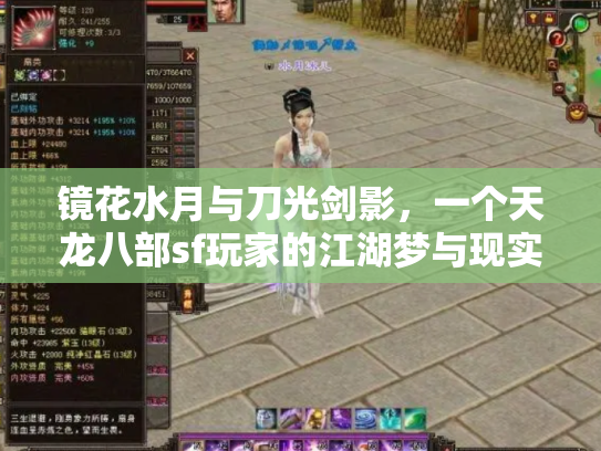 镜花水月与刀光剑影，一个天龙八部sf玩家的江湖梦与现实沉思