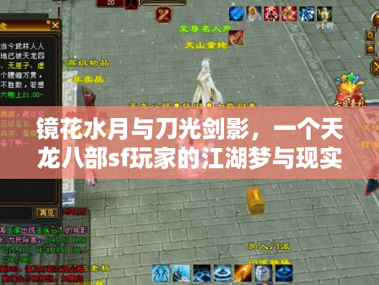 镜花水月与刀光剑影，一个天龙八部sf玩家的江湖梦与现实沉思