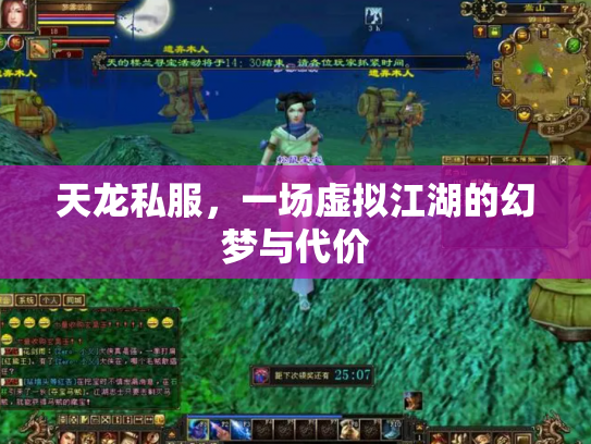 天龙私服，一场虚拟江湖的幻梦与代价