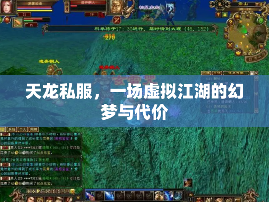 天龙私服，一场虚拟江湖的幻梦与代价