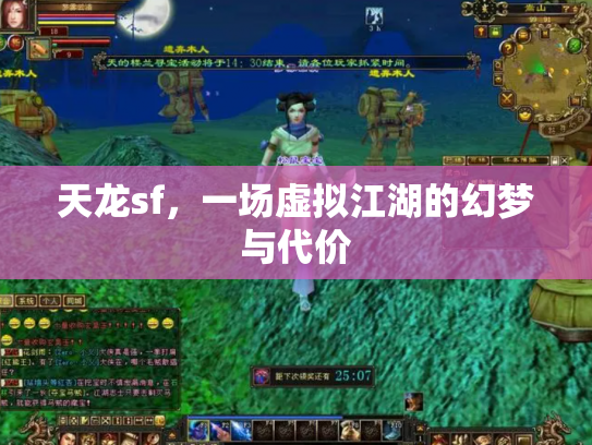天龙sf，一场虚拟江湖的幻梦与代价