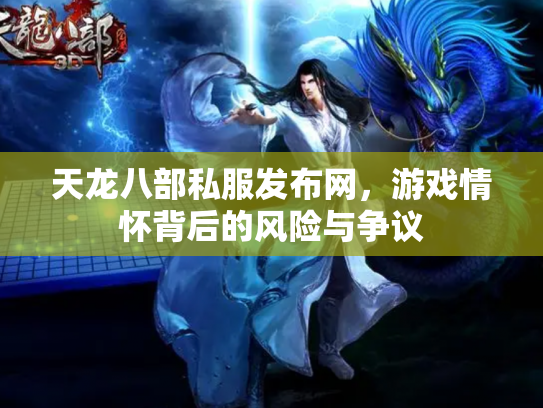 天龙八部私服发布网，游戏情怀背后的风险与争议