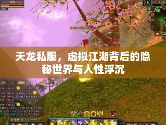 天龙私服，虚拟江湖背后的隐秘世界与人性浮沉