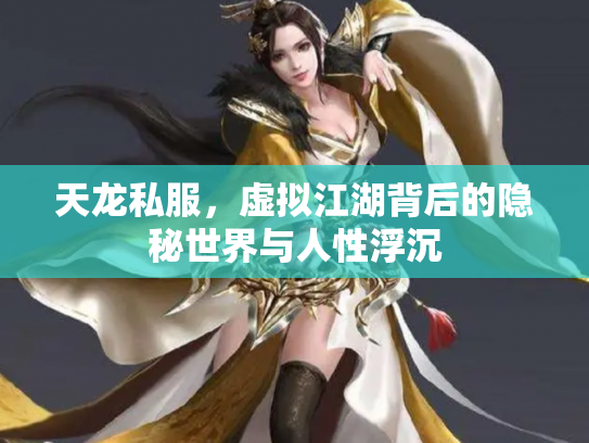 天龙私服，虚拟江湖背后的隐秘世界与人性浮沉