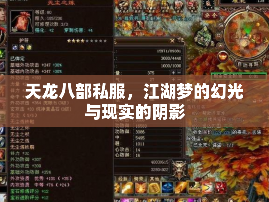 天龙八部私服，江湖梦的幻光与现实的阴影