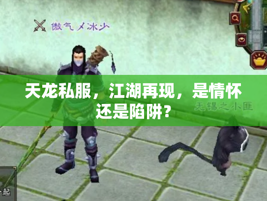 天龙私服，江湖再现，是情怀还是陷阱？