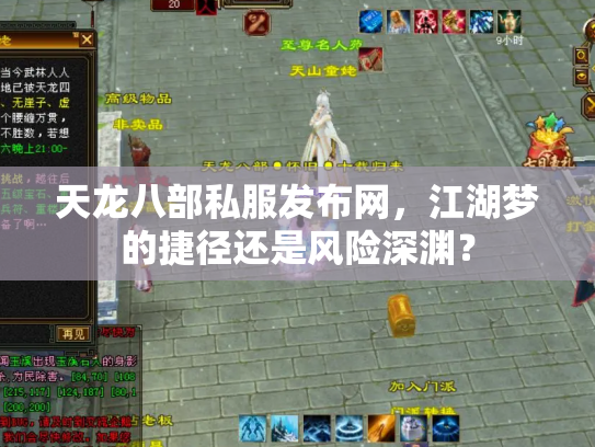 天龙八部私服发布网，江湖梦的捷径还是风险深渊？