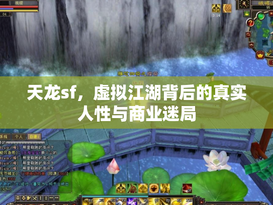 天龙sf，虚拟江湖背后的真实人性与商业迷局