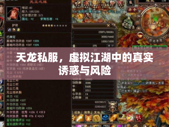 天龙私服，虚拟江湖中的真实诱惑与风险