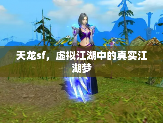 天龙sf，虚拟江湖中的真实江湖梦