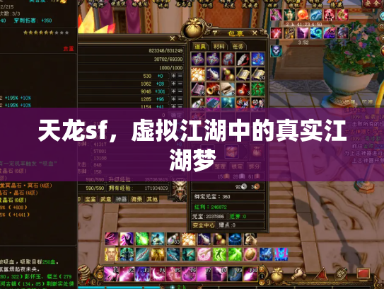 天龙sf，虚拟江湖中的真实江湖梦
