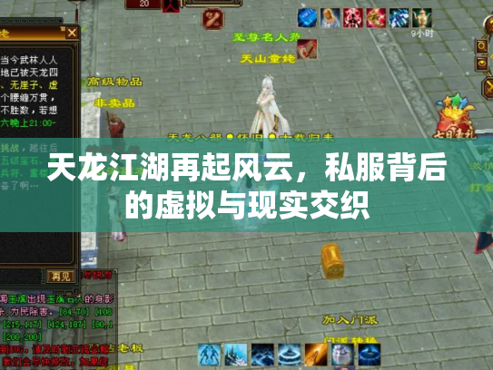 天龙江湖再起风云，私服背后的虚拟与现实交织